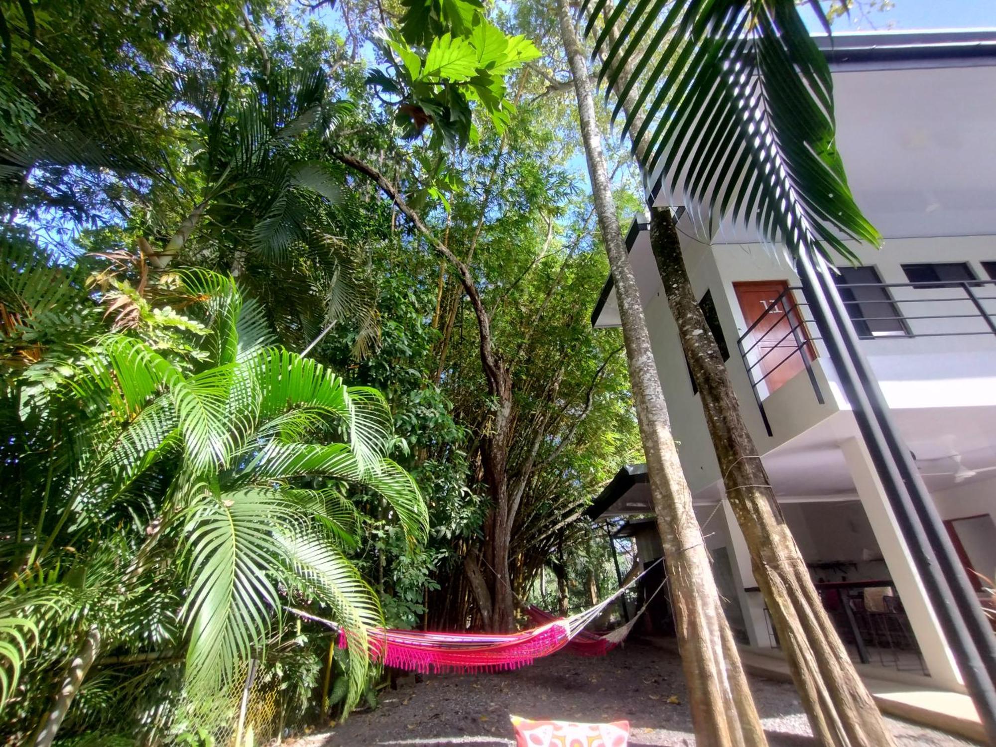 Casajungla Hostel Хако Экстерьер фото